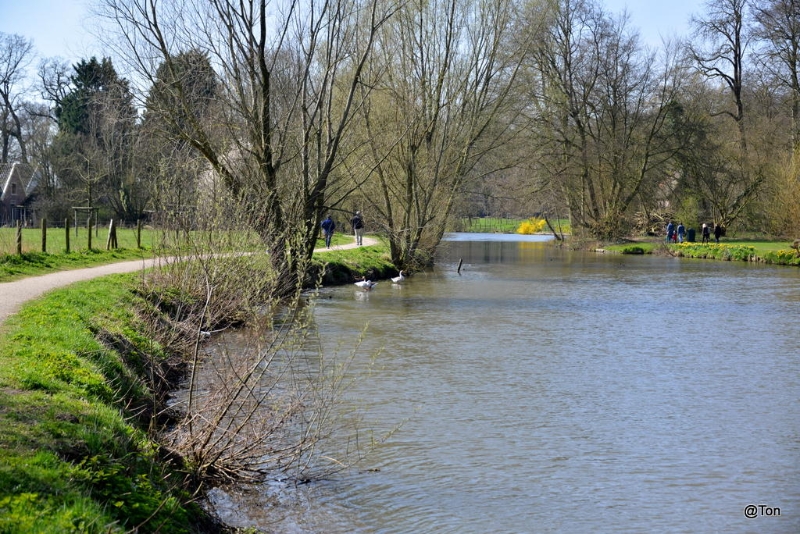 DSC_4686.JPG