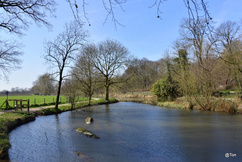 DSC_4698.JPG