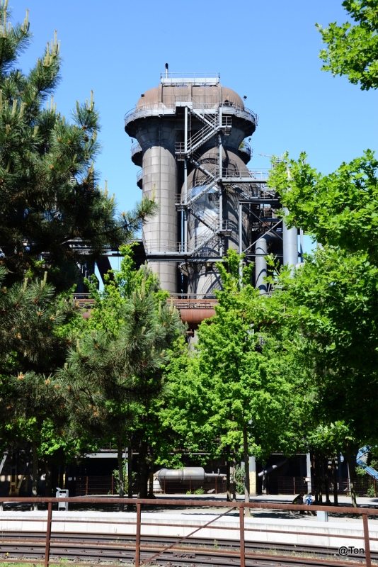 DSC_7345.JPG