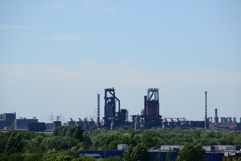 DSC_7395.JPG