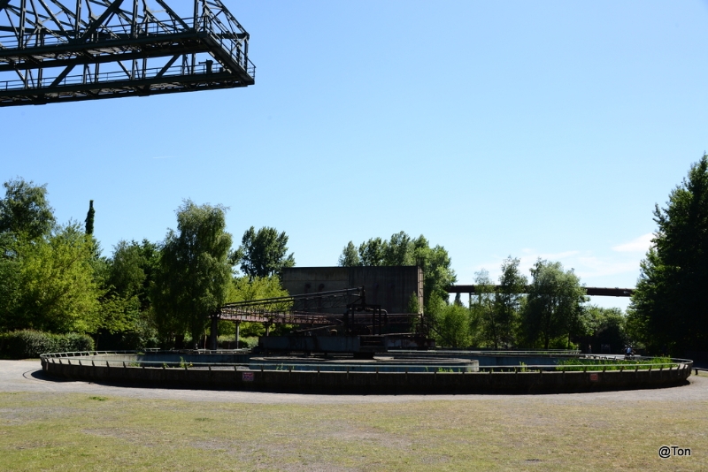 DSC_7454.JPG