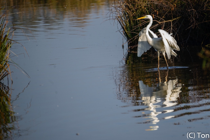 DSC_7769.jpg