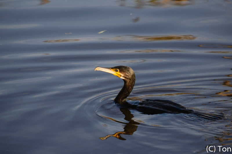 DSC_7790.jpg