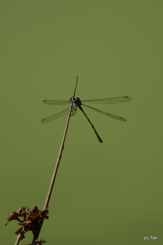 DSC_4902.JPG