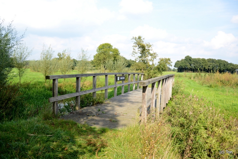 DSC_4916.JPG - Trurksebrug