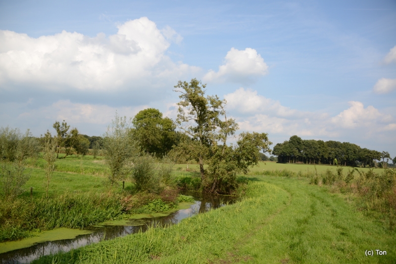 DSC_4920.JPG - Landschap