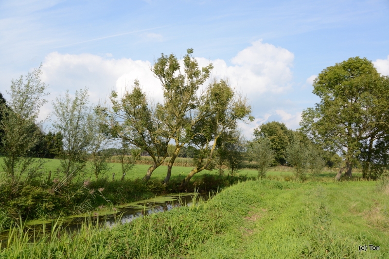 DSC_4923.JPG