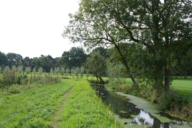 DSC_4928.JPG