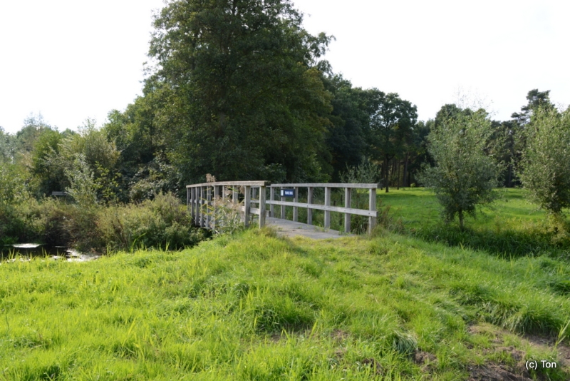 DSC_4929.JPG - Trurkse brug