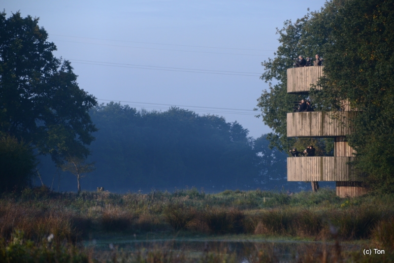 DSC_5072.JPG - Druk op de uitkijktoren