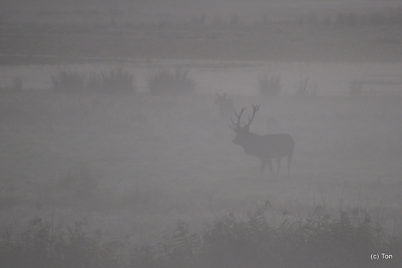 DSC_5381.JPG