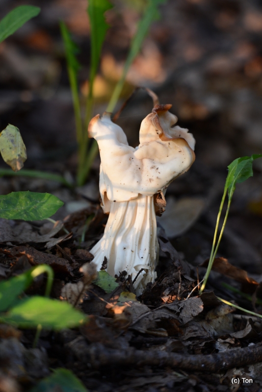 DSC_5431.JPG