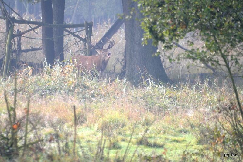 DSC_5576.JPG