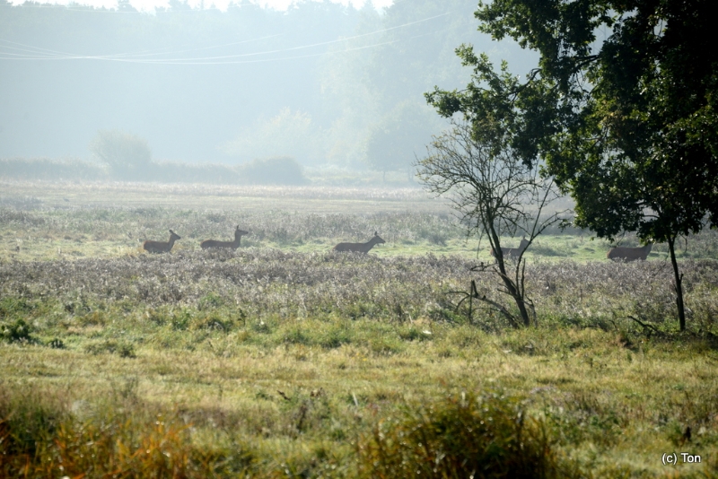 DSC_5588.JPG