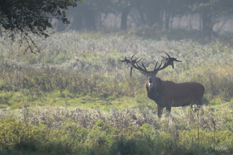 DSC_5678.JPG