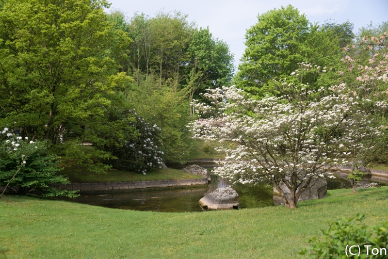 DSC_3973.jpg