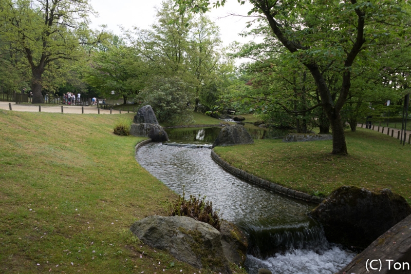 DSC_3978.jpg