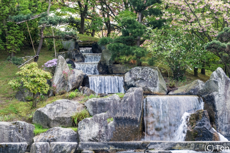 DSC_3986.jpg