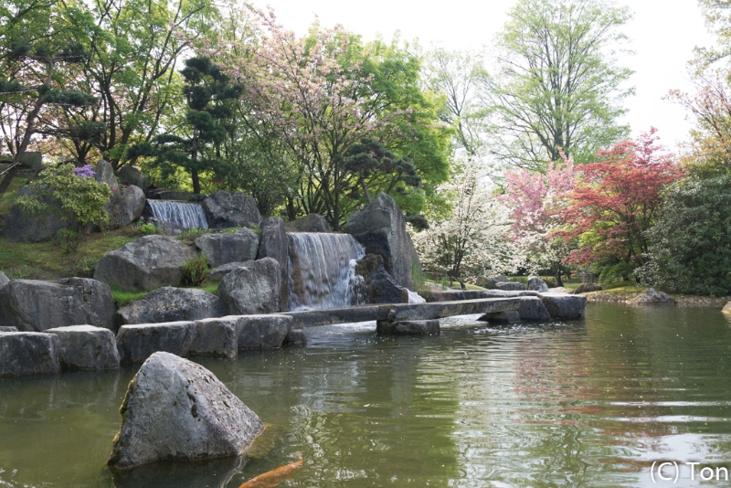 DSC_4004.jpg