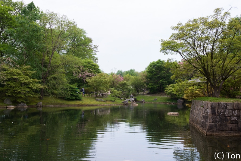 DSC_4038.jpg