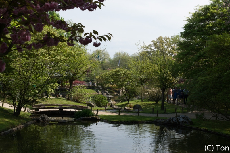 DSC_4080.jpg