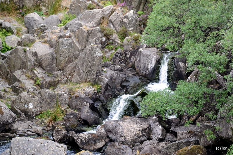 DSC_0060.JPG