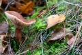 _DSC7508