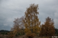 _DSC7556