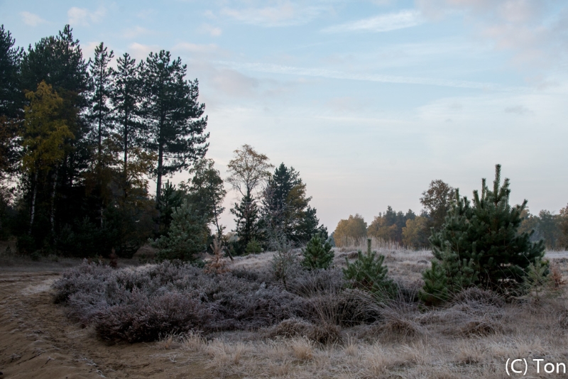 _DSC6216.jpg