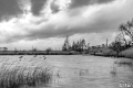 _DSC2651