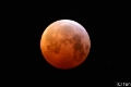 Bloedmaan-0656