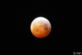 Bloedmaan-0664