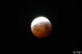 Bloedmaan-0669