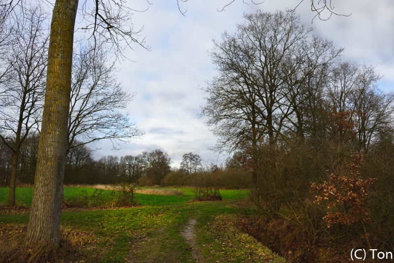 DSC_9724.jpg