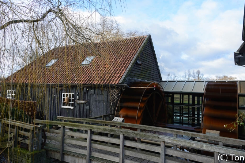 DSC_9744.jpg
