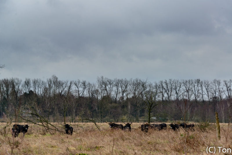 DSC_0008.jpg