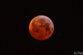Bloedmaan