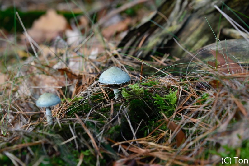 _DSC5638.jpg