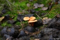 _DSC5281