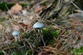 _DSC5638