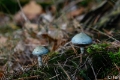 _DSC5639