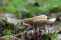 _DSC5673