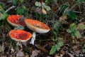 _DSC5689