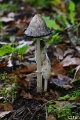 _DSC5791