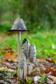 _DSC5797