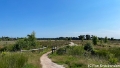 Landschap-2