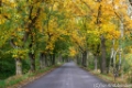 Herfstkleuren-0176