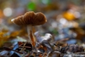 _DSC0160