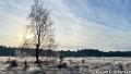 IMG_0143