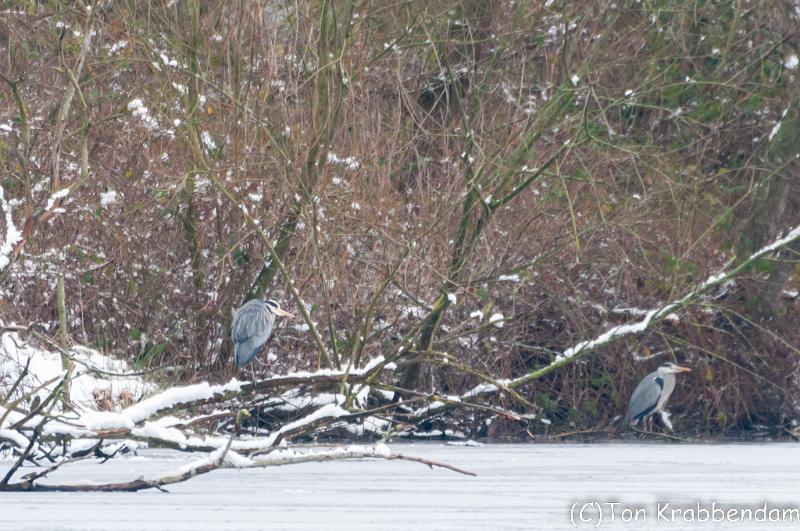 DSC_4142.jpg